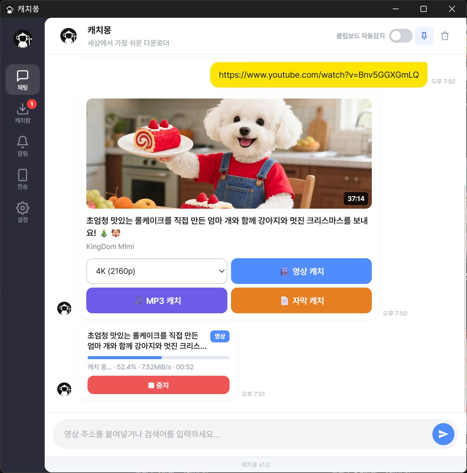 캐치박스 다운로드 카드 화면